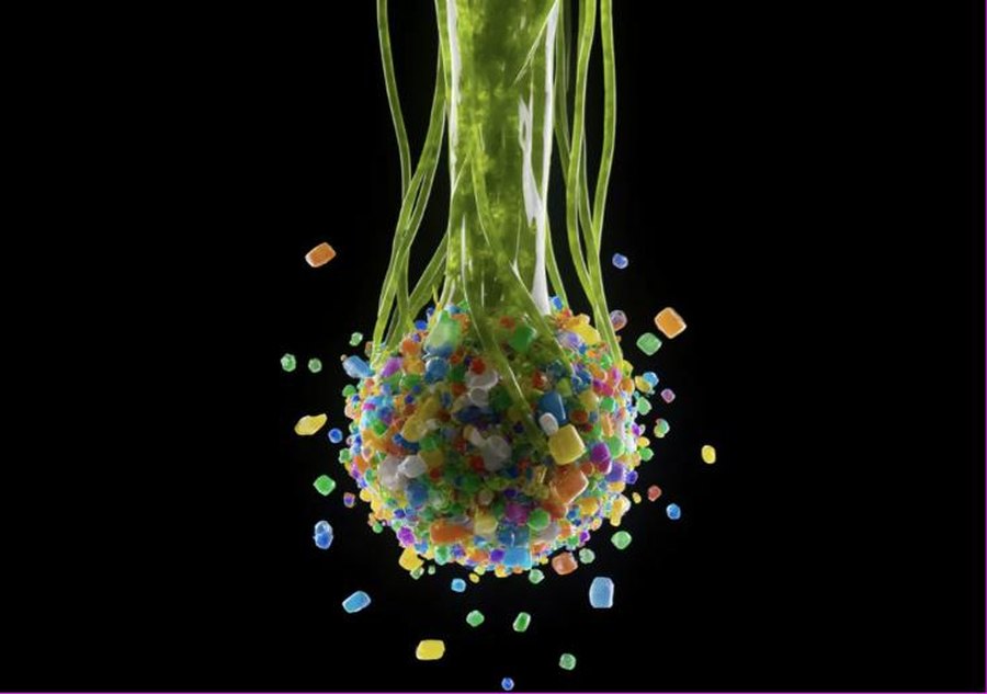 Green seaweed binder strands trapping colorful microplastic fragments into a clump to carry them out