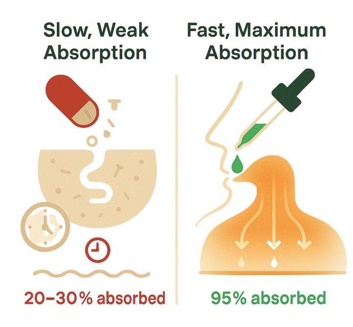 Slow, weak absorption from capsules (20-30% absorbed) versus fast, maximum absorption from CLEANSL8 liquid under the tongue (95% absorbed)