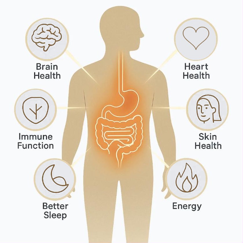 CLEANSL8 supports the whole body: brain health, heart health, immune function, skin health, better sleep and energy