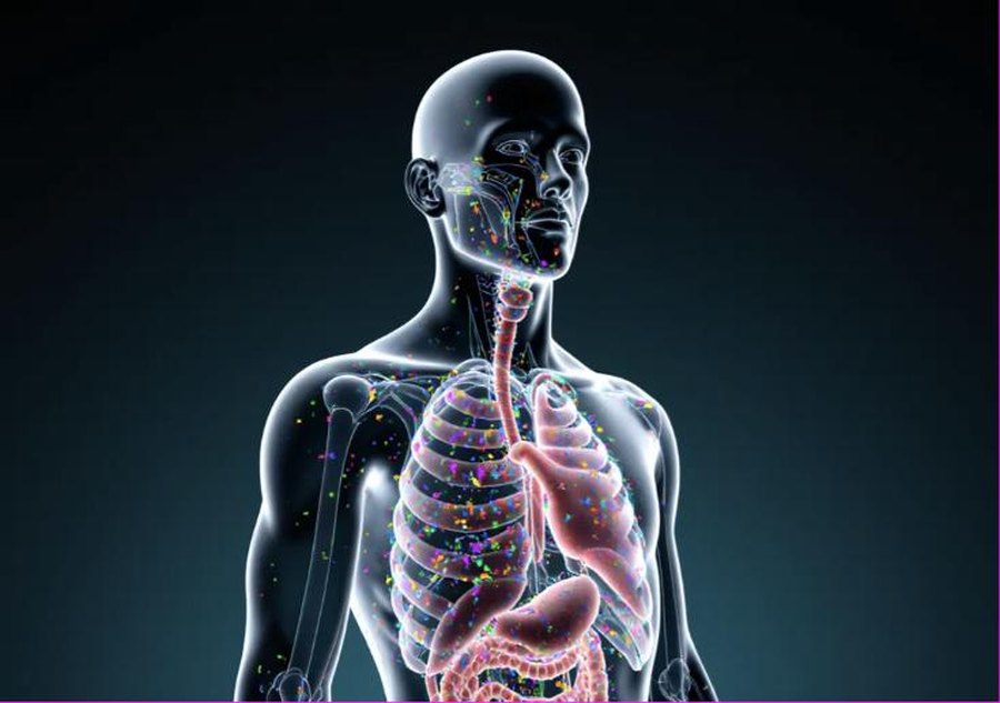 Translucent human body with microplastic particles scattered inside the organs