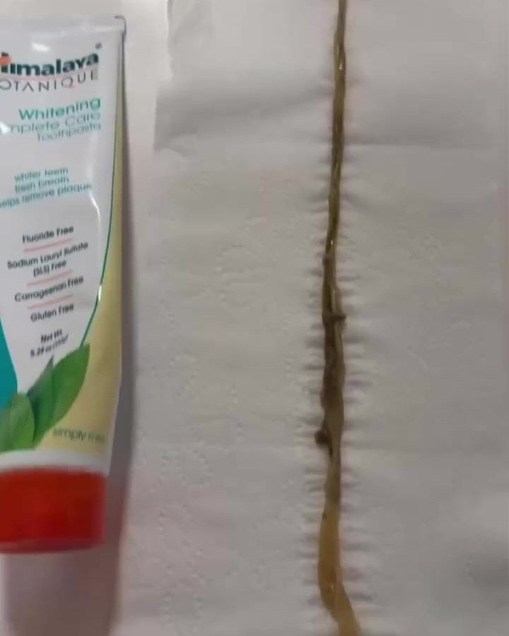 A long one laid next to a toothpaste tube for scale