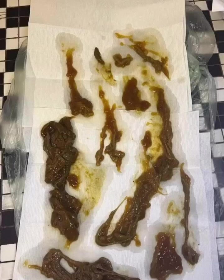 Pieces laid out on paper towels
