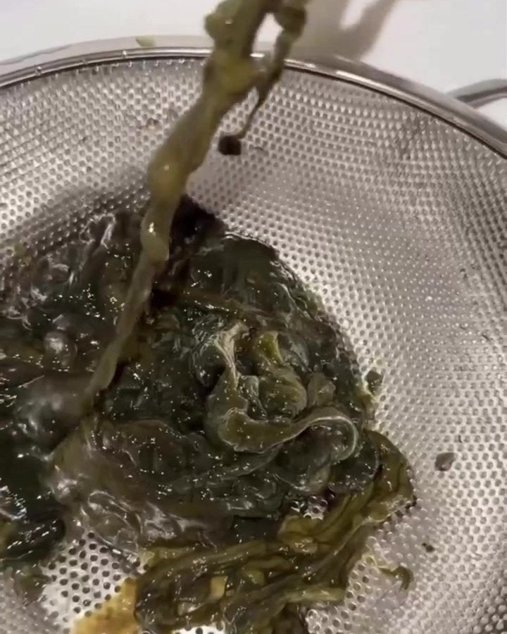 What was caught in a kitchen strainer